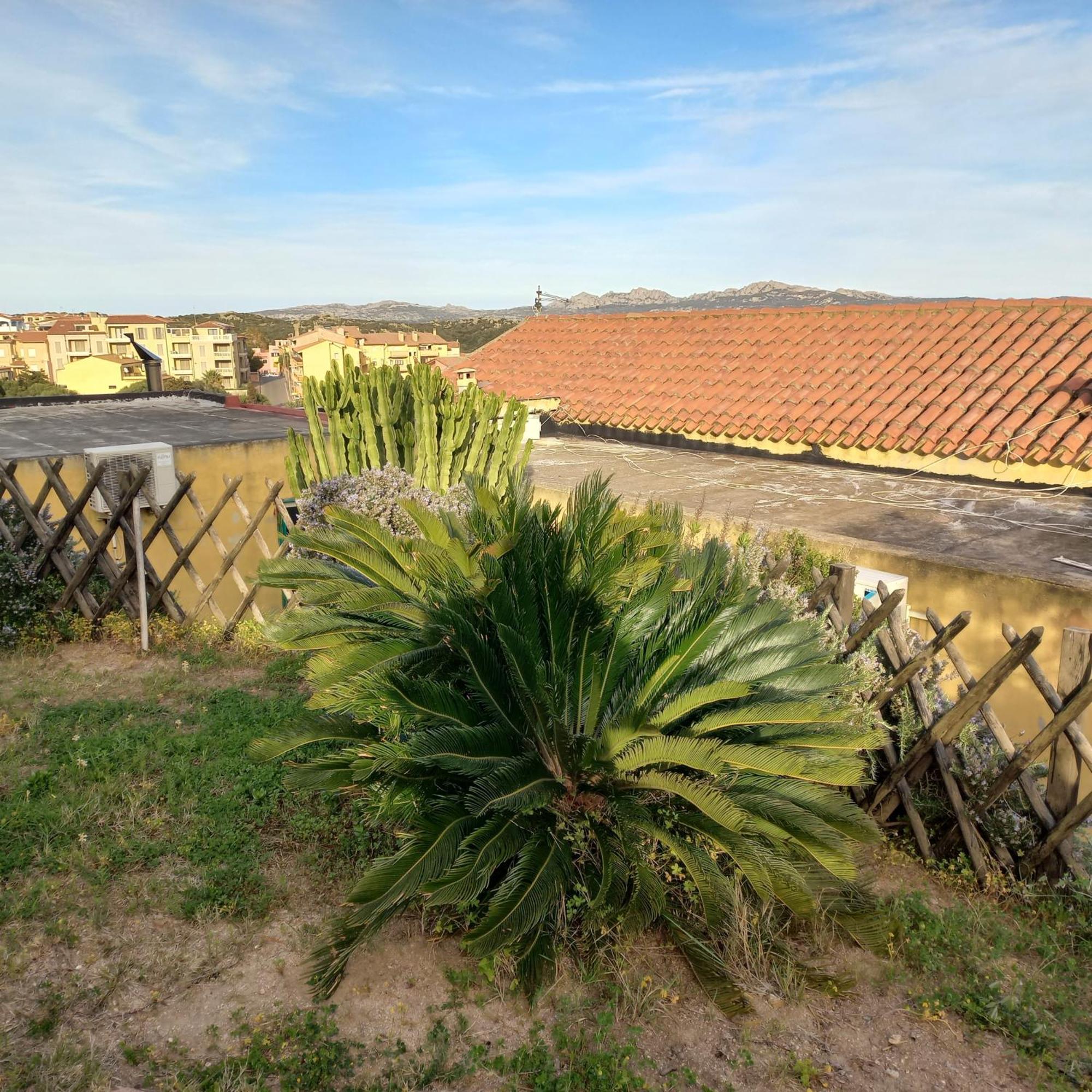 Villa Graziella La Maddalena  Exterior foto
