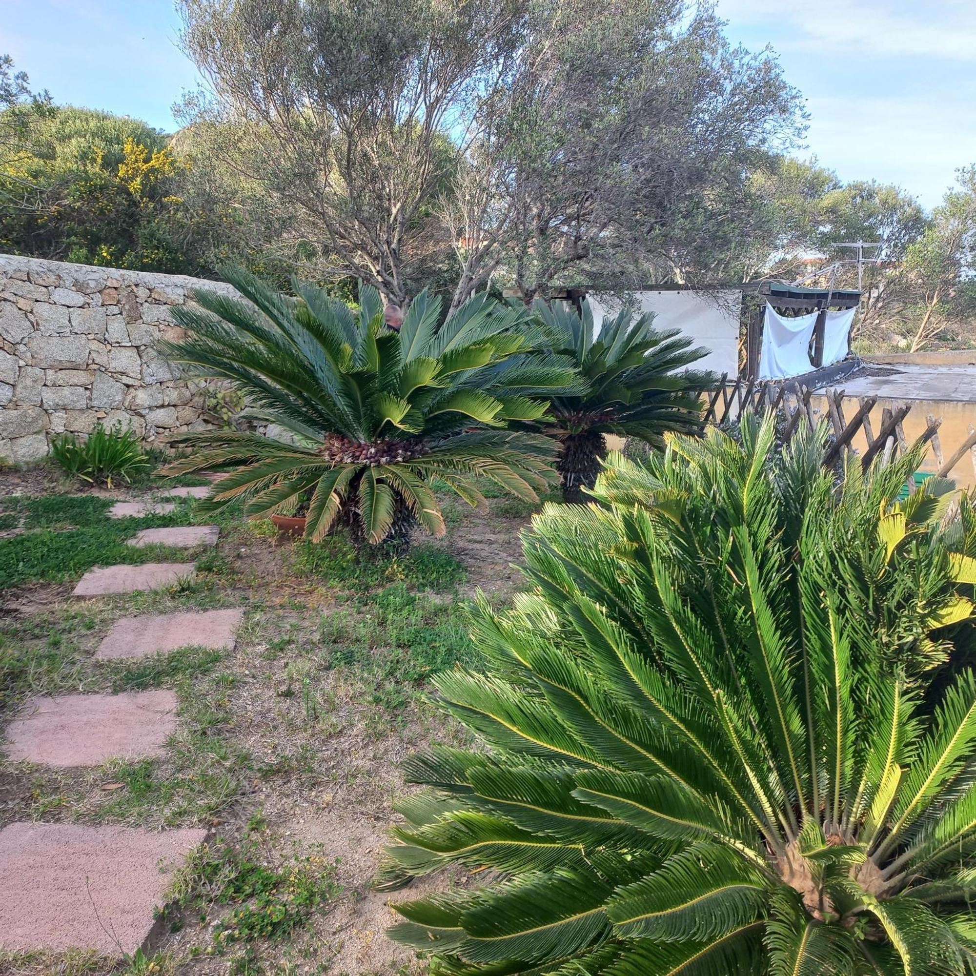 Villa Graziella La Maddalena  Exterior foto